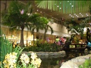 Garden Inside Changi Airport
